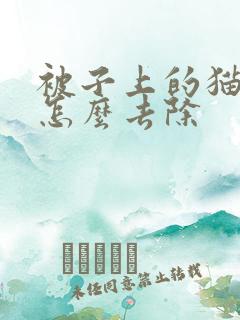 被子上的猫尿味怎么去除