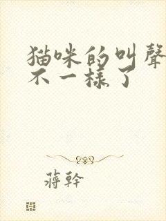 猫咪的叫声突然不一样了