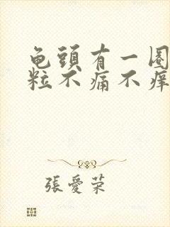 龟头有一圈小肉粒不痛不痒