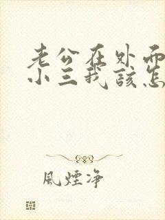 老公在外面有了小三我该怎么办