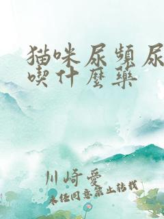 猫咪尿频尿出血吃什么药