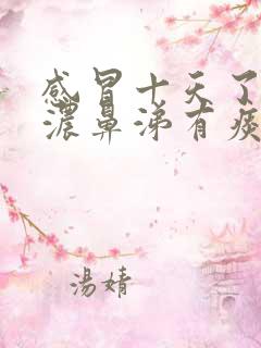 感冒十天了还是浓鼻涕有痰