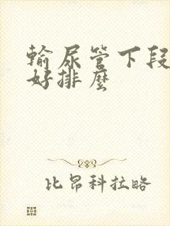 输尿管下段结石好排么