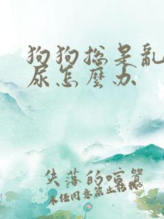 狗狗总是乱拉乱尿怎么办