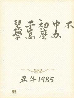 儿子初中不想上学怎么办