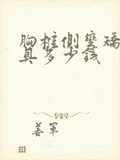 胸椎侧弯矫正支具多少钱