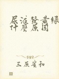 尿液发黄绿色是什么原因