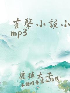 有声小说小仙儿mp3