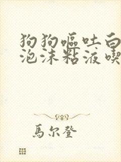 狗狗呕吐白色的泡沫粘液吃什么药