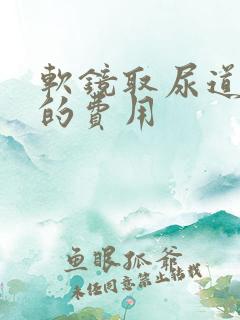 软镜取尿道结石的费用