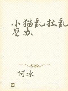 小猫乱拉乱尿怎么办