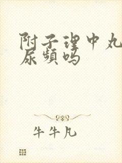 附子理中丸能治尿频吗