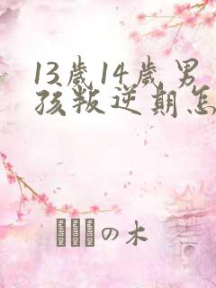 13岁14岁男孩叛逆期怎么办