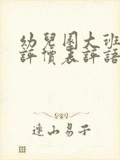 幼儿园大班发展评价表评语