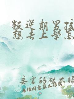 叛逆期男孩说不想去上学怎么办