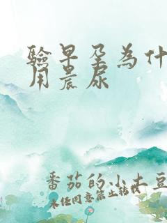 验早孕为什么要用晨尿