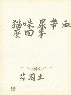 猫咪尿带血是怎么回事