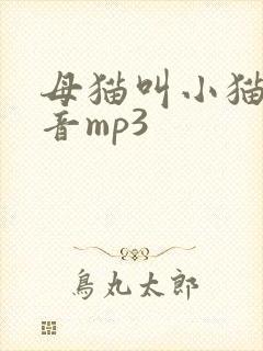 母猫叫小猫的声音mp3