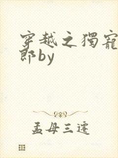 穿越之独宠小夫郎by