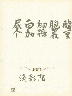 尿白细胞酯酶2个加号严重吗