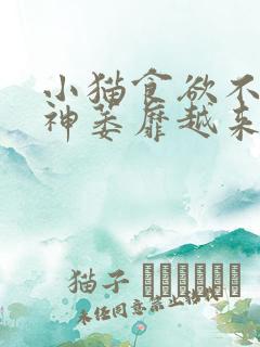 小猫食欲不振精神萎靡越来越瘦