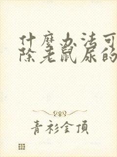 什么办法可以去除老鼠尿的骚味