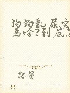 狗狗乱尿究竟是为啥?到底怎么办?