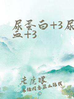 尿蛋白+3尿隐血+3