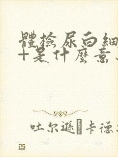 体检尿白细胞2+是什么意思