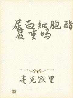 尿白细胞酯酶1 严重吗