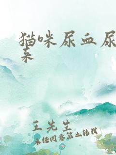 猫咪尿血尿不出来