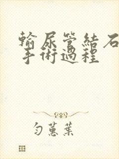 输尿管结石软镜手术过程