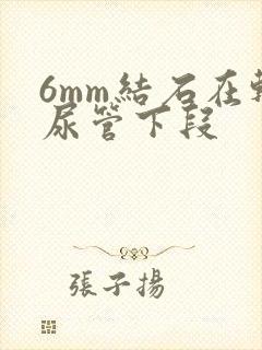 6mm结石在输尿管下段