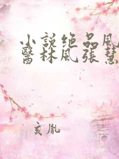 小说绝品风流狂医林风张慧无弹窗