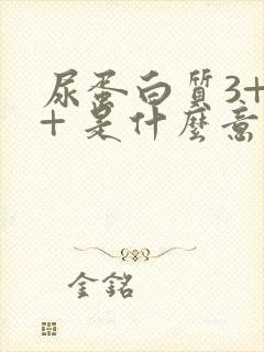 尿蛋白质3+++ 是什么意思