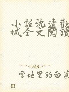 小说沈清欢傅明城全文阅读