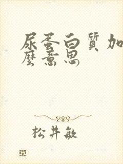 尿蛋白质加1什么意思