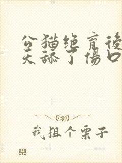 公猫绝育后第一天舔了伤口