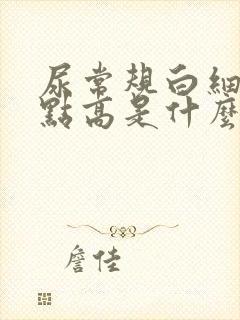 尿常规白细胞有点高是什么原因