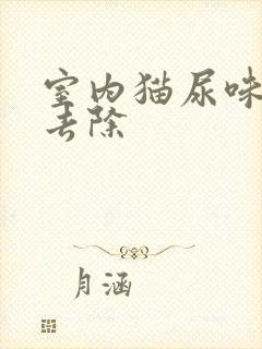 室内猫尿味怎么去除