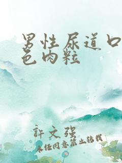 男性尿道口长红色肉粒