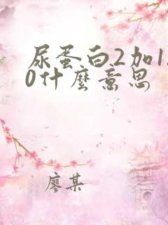 尿蛋白2加1.0什么意思