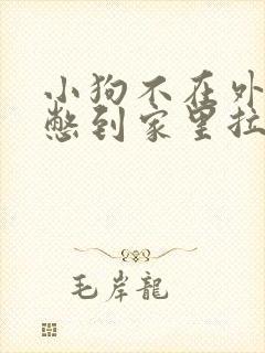 小狗不在外面尿憋到家里拉尿