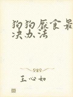 狗狗厌食最快解决办法