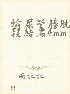 输尿管膀胱壁内段结石4mm