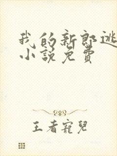 我的新郎逃婚了小说免费