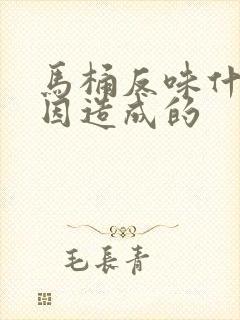 马桶反味什么原因造成的