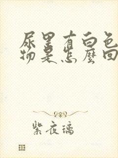 尿里有白色混浊物是怎么回事