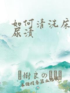 如何清洗床垫的尿渍