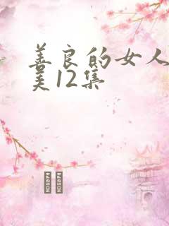 善良的女人夫世美12集